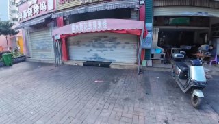 主人：偷猫还问我要袋